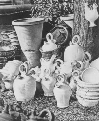 46 ceramica bajo una vieja acacia